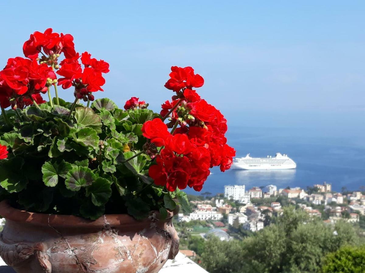 Le Muse Suite Sorrento Bagian luar foto