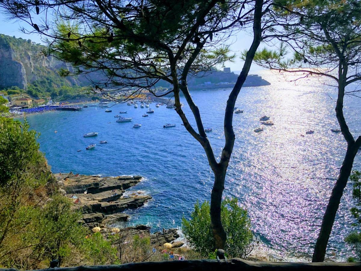 Le Muse Suite Sorrento Bagian luar foto