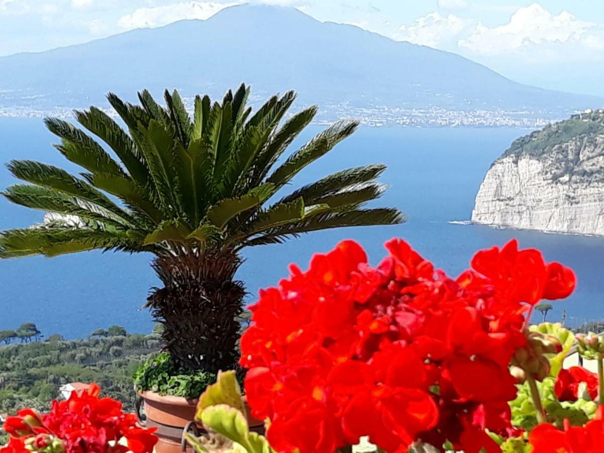 Le Muse Suite Sorrento Bagian luar foto